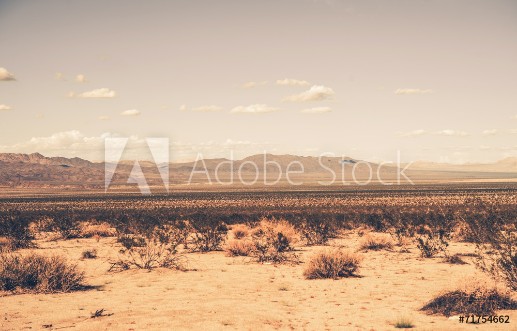 Picture of Southern California Desert